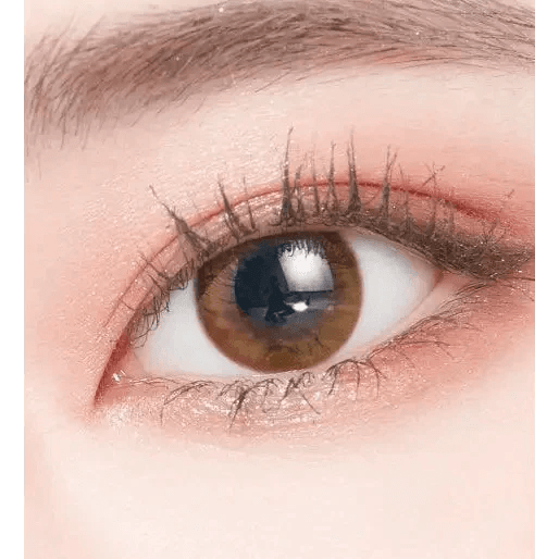 LensTown Pocopong Brown - Idol Karakon