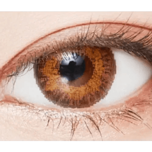 LensVery Poing Brown - Idol Karakon