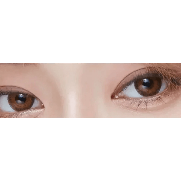 LensVery Poing Brown - Idol Karakon
