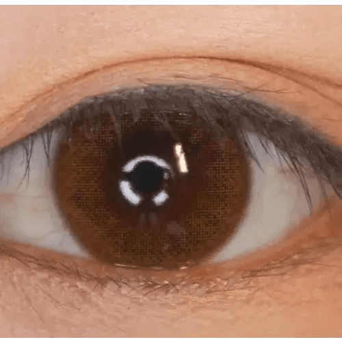 Olens Rara Brown - Idol Karakon