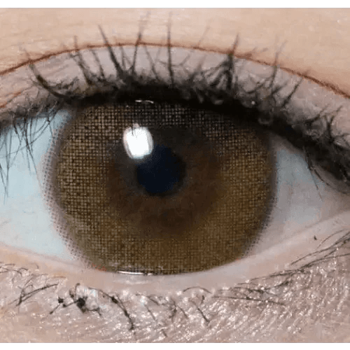 Olens Rara Brown - Idol Karakon