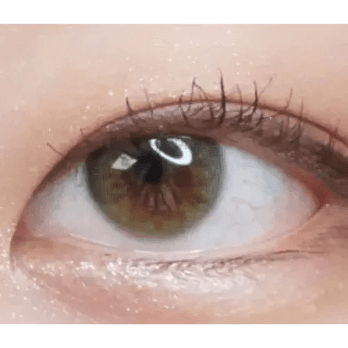 LensRang Real Khaki Green - Idol Karakon