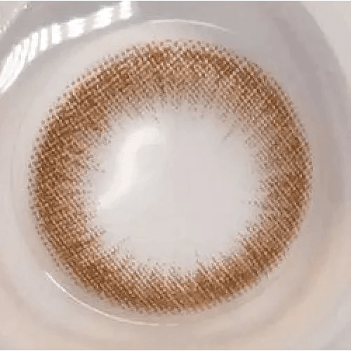 LensVery Rich Ann Cafe Choco (6p) - Idol Karakon