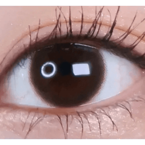 LensVery Rich Ann Cafe Choco (6p) - Idol Karakon