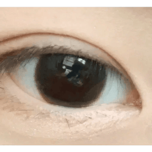 LensVery Rich Ann Cafe Choco (6p) - Idol Karakon