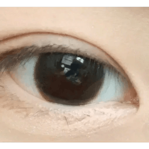 LensVery Rich Ann Cafe Choco (6p) - Idol Karakon