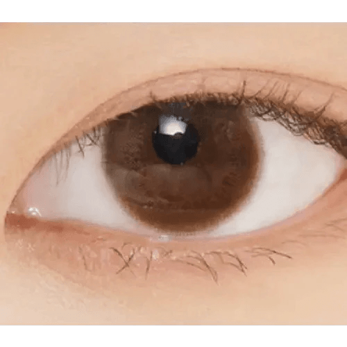 LensVery Rich Ann Cafe Choco (6p) - Idol Karakon