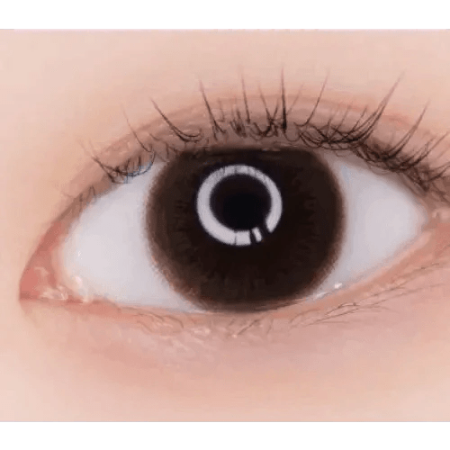 LensVery Rich Ann Cafe Choco (6p) - Idol Karakon