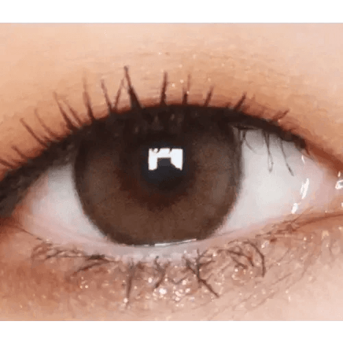 LensVery Rich Ann Indie Brown (6p) - Idol Karakon