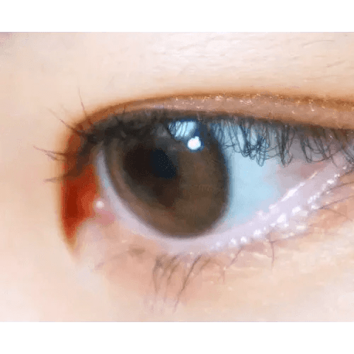 LensVery Rich Ann Indie Brown (6p) - Idol Karakon