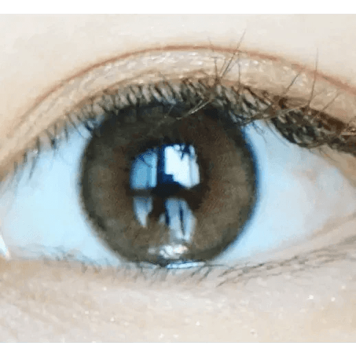 LensVery Rich Ann Indie Brown (6p) - Idol Karakon