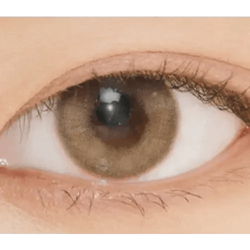 LensVery Rich Ann Indie Brown (6p) - Idol Karakon