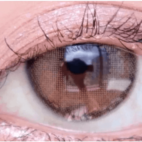 LensVery Rich Ann Indie Brown (6p) - Idol Karakon