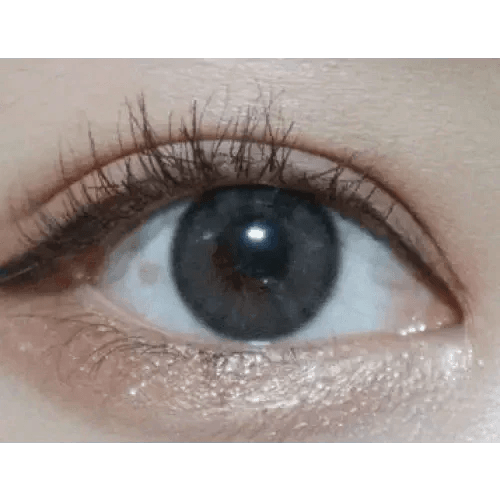 LensVery Rich Ann Indie Gray (6p) - Idol Karakon