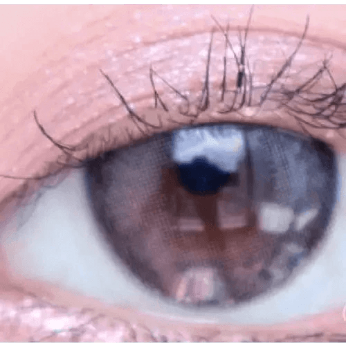 LensVery Rich Ann Indie Gray (6p) - Idol Karakon