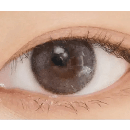 LensVery Rich Ann Indie Gray (6p) - Idol Karakon