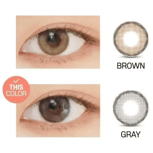 LensVery Rich Ann Indie Gray (6p) - Idol Karakon