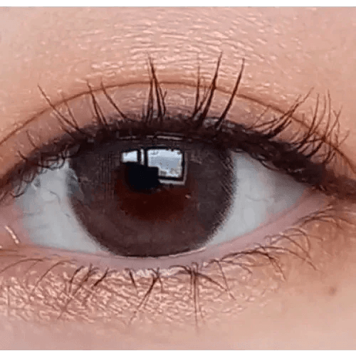 LensVery Rich Ann Indie Gray (6p) - Idol Karakon