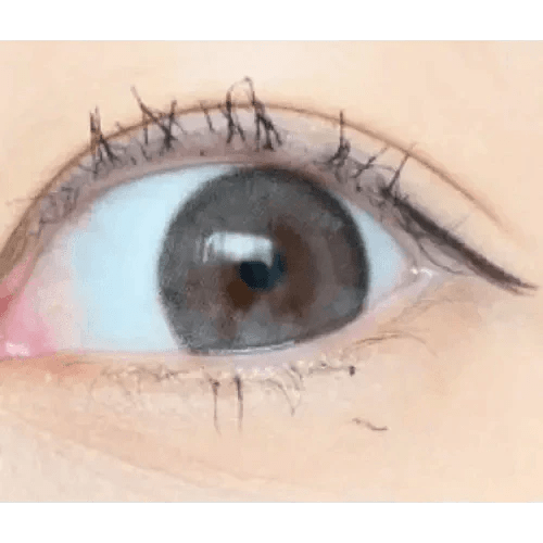 LensVery Rich Ann Indie Gray (6p) - Idol Karakon