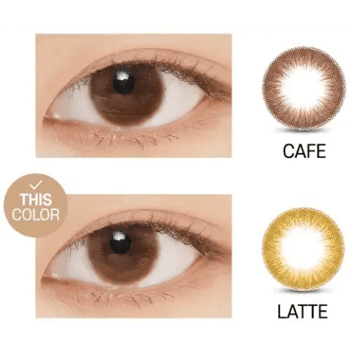 LensVery Rich Ann Latte Brown (6p) - Idol Karakon