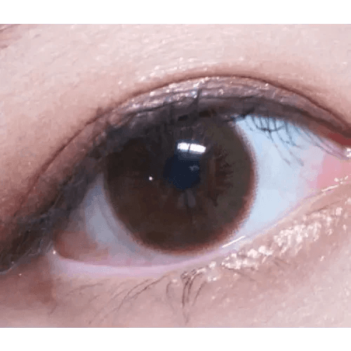 LensVery Rich Ann Latte Brown (6p) - Idol Karakon