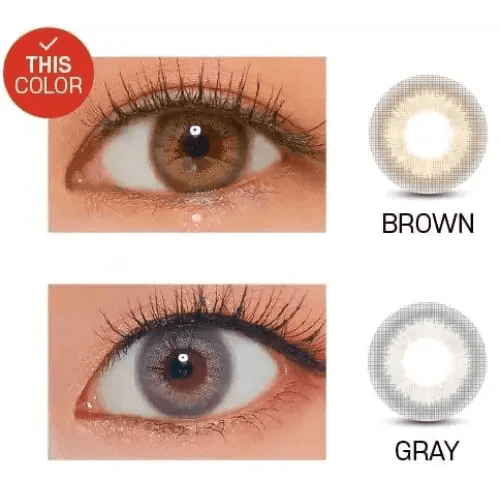 LensVery Rich Ann Mellow Brown (6p) - Idol Karakon