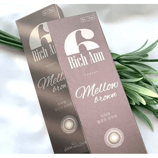 LensVery Rich Ann Mellow Brown (6p) - Idol Karakon