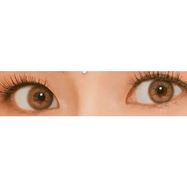 LensVery Rich Ann Mellow Brown (6p) - Idol Karakon
