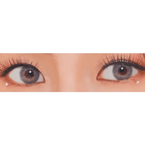 LensVery Rich Ann Mellow Gray (6p) - Idol Karakon