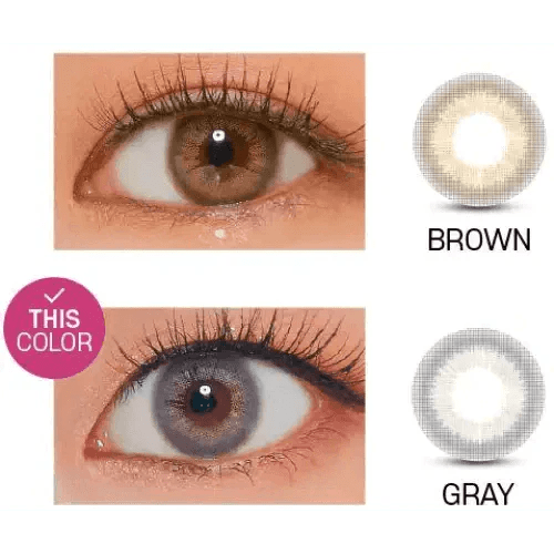 LensVery Rich Ann Mellow Gray (6p) - Idol Karakon