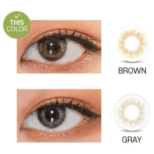 LensVery Rich Ann Natural Brown (6p) - Idol Karakon