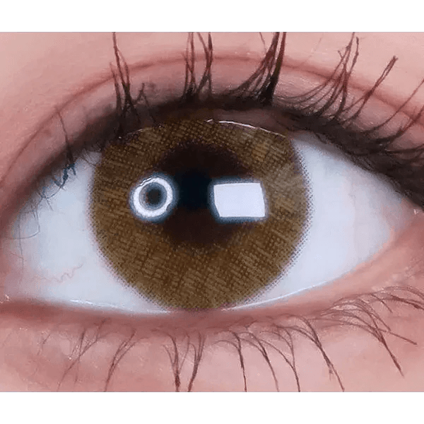 LensVery Rich Ann Shine Brown (6p) - Idol Karakon