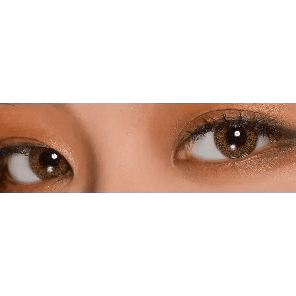 LensVery Rich Ann Shine Brown (6p) - Idol Karakon