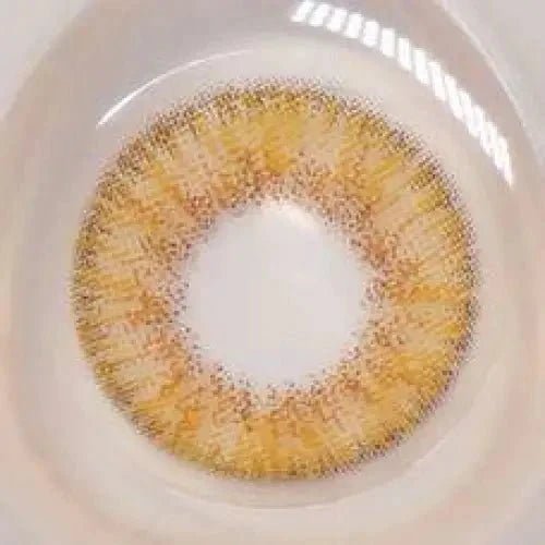 LensVery Rich Ann Shine Brown (6p) - Idol Karakon