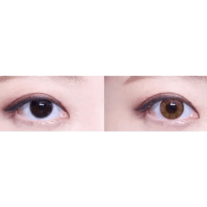 LensVery Rich Ann Shine Brown (6p) - Idol Karakon