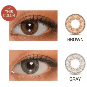 LensVery Rich Ann Shine Brown (6p) - Idol Karakon