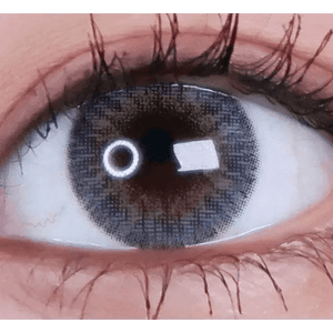 LensVery Rich Ann Shine Gray (6p) - Idol Karakon