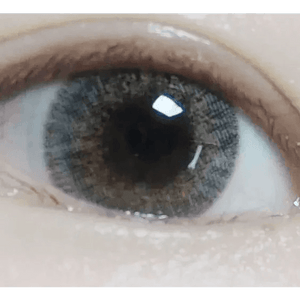 LensVery Rich Ann Shine Gray (6p) - Idol Karakon