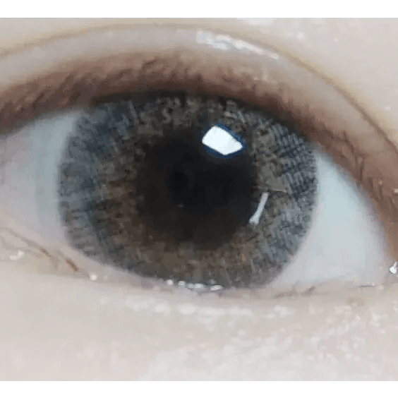 LensVery Rich Ann Shine Gray (6p) - Idol Karakon