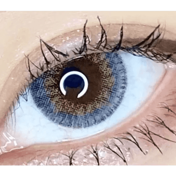 LensVery Rich Ann Shine Gray (6p) - Idol Karakon