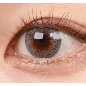 LensVery Rich Ann Shine Gray (6p) - Idol Karakon