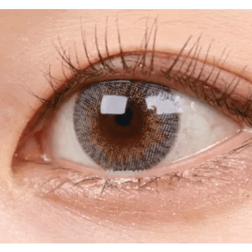 LensVery Rich Ann Shine Gray (6p) - Idol Karakon