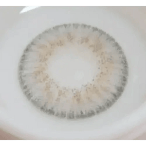 LensVery Rich Ann Shine Gray (6p) - Idol Karakon