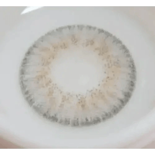 LensVery Rich Ann Shine Gray (6p) - Idol Karakon