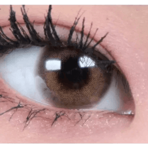 LensTown Romantea London 1Day Brown (10p) - Idol Karakon