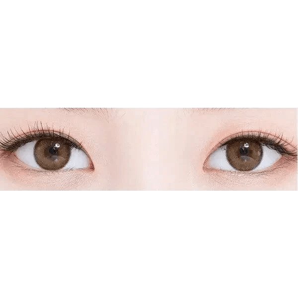 LensTown Romantea Rose Beige Brown - Idol Karakon