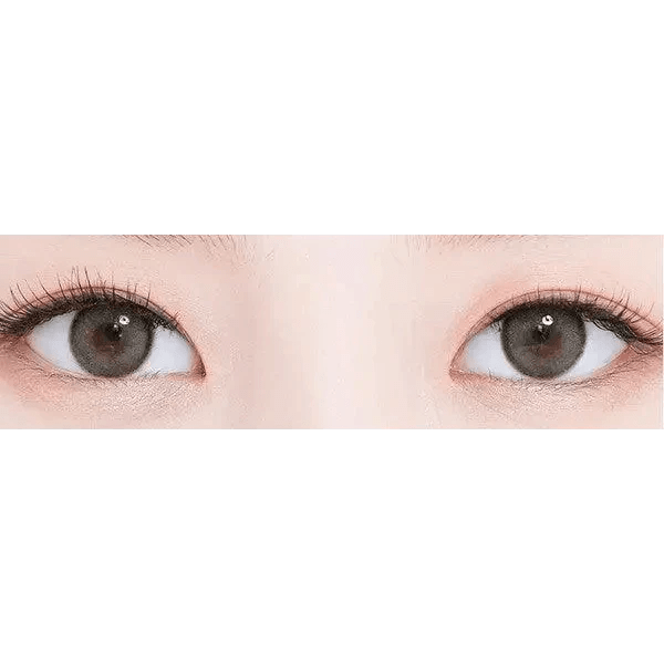 LensTown Romantea Rose Charcoal Gray - Idol Karakon