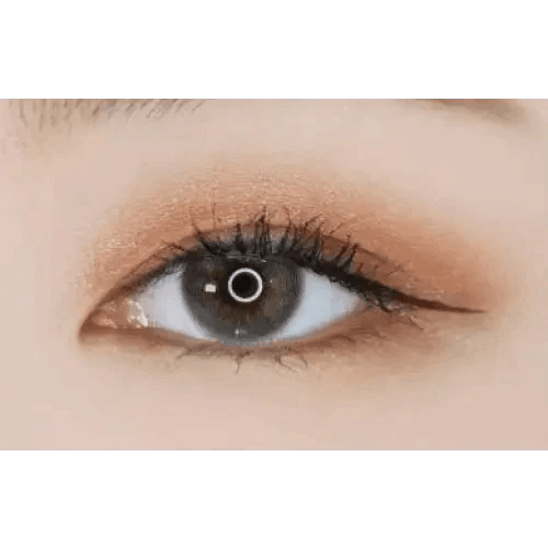 LensTown Romantea Venice Gray - Idol Karakon