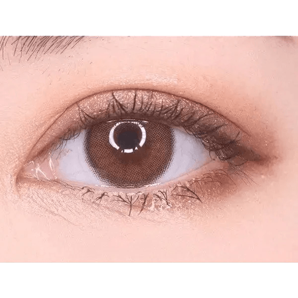ビビリングワンデーブラウン[1箱10枚] ViVi Ring 1Day Brown(10P) - Idol Karakon
